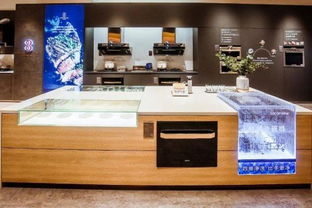 创变新零售 帅康荣获2019中国家电创新零售案例奖引领家具销售新趋势